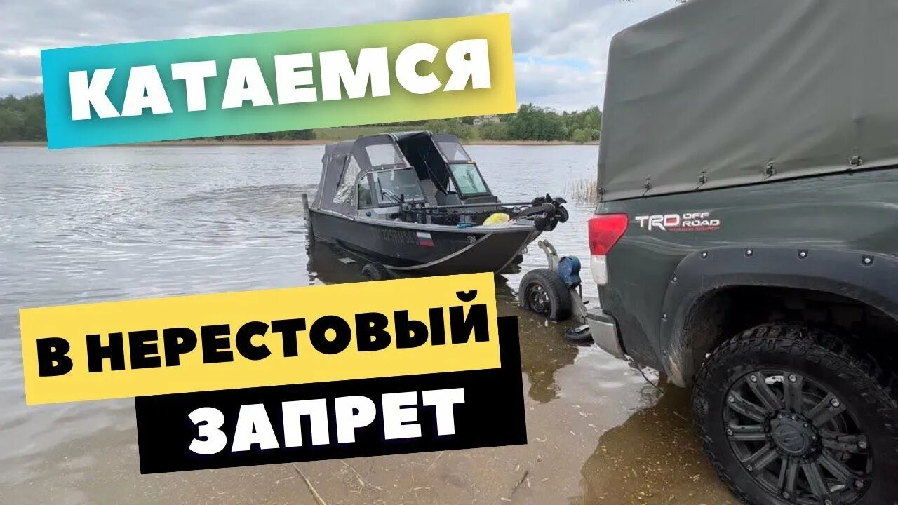 Можно ли на моторе в нерестовый запрет. Москва нерестовый запрет. Нерестовый запрет Башкирия. Нерестовый запрет в Ленинградской. Нерестовый запрет в Краснодарском крае в 2024 году.