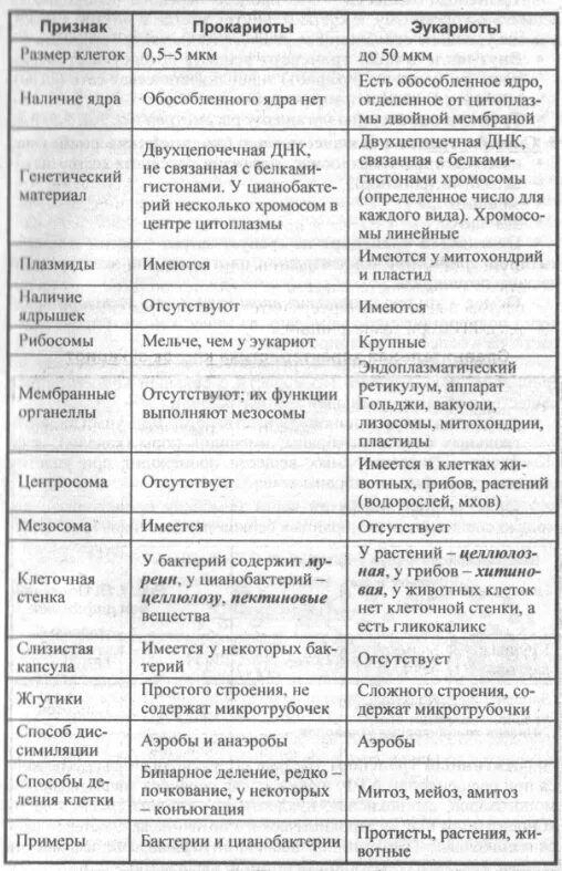 Таблица строение клетки органоиды строение функции. Функции органоидов эукариотической клетки. Функции органоидов эукариотической клетки таблица. Эукариоты таблица органоиды строение функции.