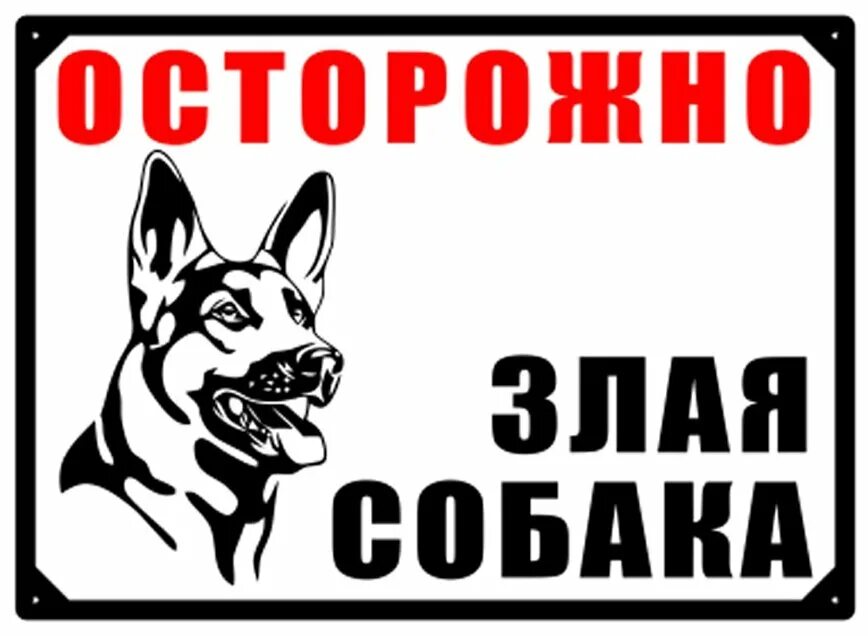 Информационная табличка "Осторожно, злая собака", 270х170 мм. УФ печать не выгор
