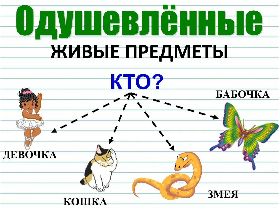 Слова кто что 1 класс карточки. Одушевленные и неодушевленные предметы. Одушевленные и неодушевленные существительные. Одушевлённые и неодушевлённые имена существительные. Одушевленные и не одушевленн предметы.