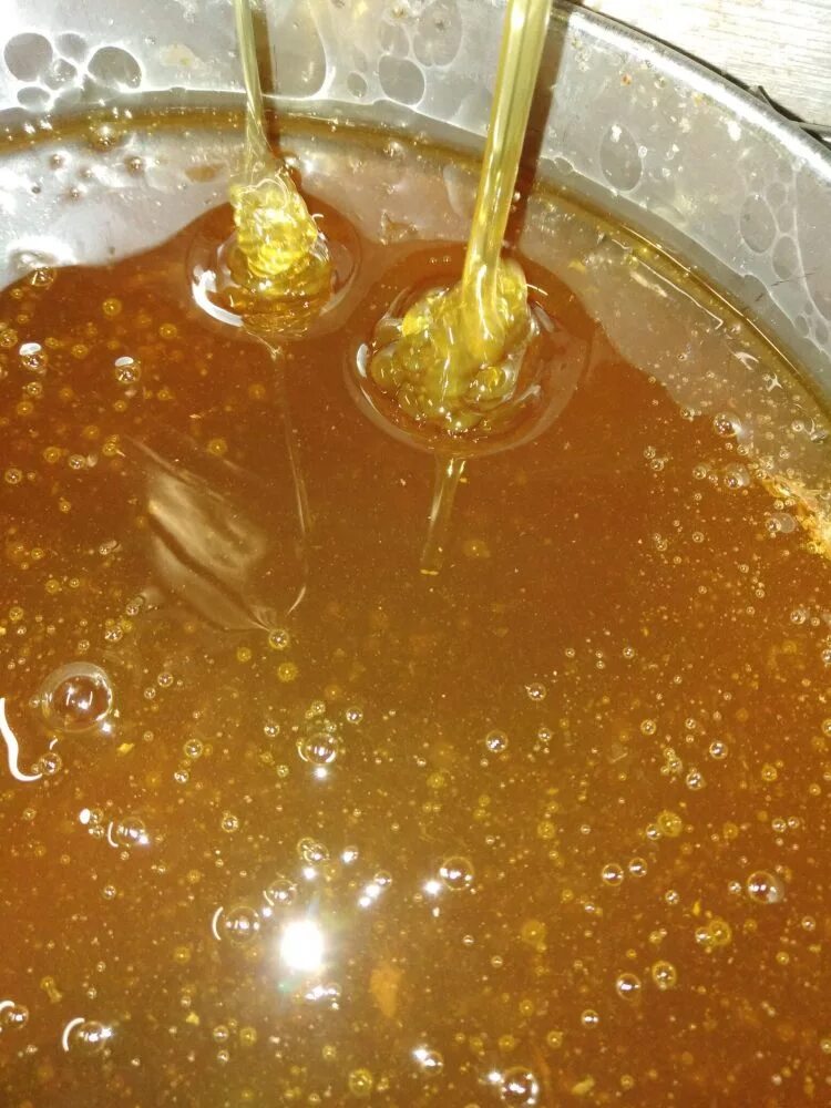 Почему мед не кристаллизуется. Мёд натуральный. Мёд засахарился. Кристаллизованный мед. Засахаренный мед.