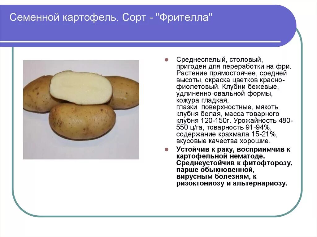 Пароли картофель характеристика. Картофель сорт Фрителла. Фрителла картофель характеристика. Картофель семенной голубизна.