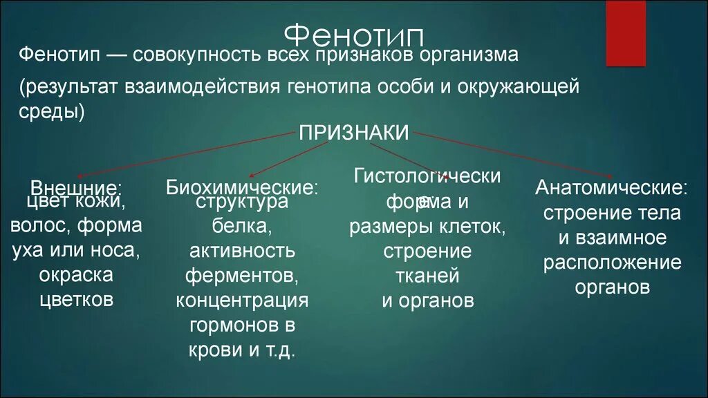 Фенотип примеры. Признаки фенотипа. Генотип и фенотип примеры. Фенотип человека примеры.