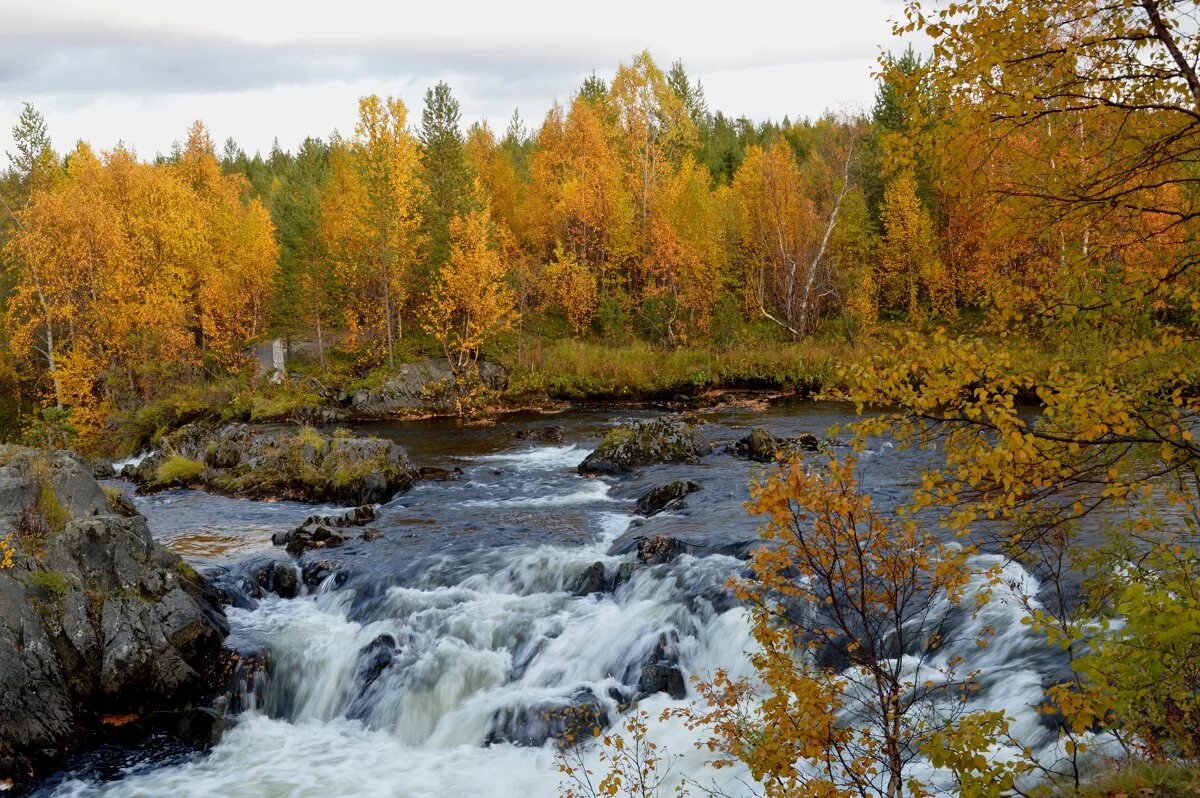 Вода оленегорск. Печенгский район природа. Тундра в Мурманской области Печенгский район. Осень в Мурманской области. Тайга Мурманск.