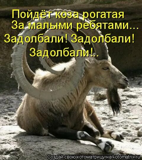 иди козе в трещину