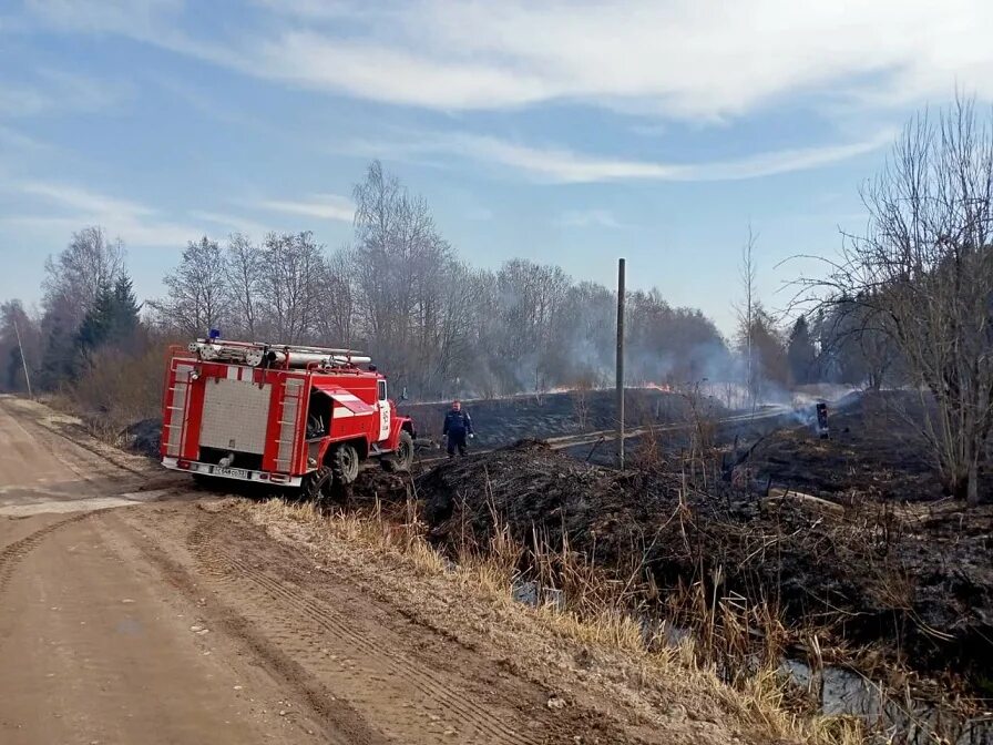 ООО Передольское Батецкий район. 45 ПЧ Батецкий. Пожарная часть поселка Батецкий. Косицкий Бор.