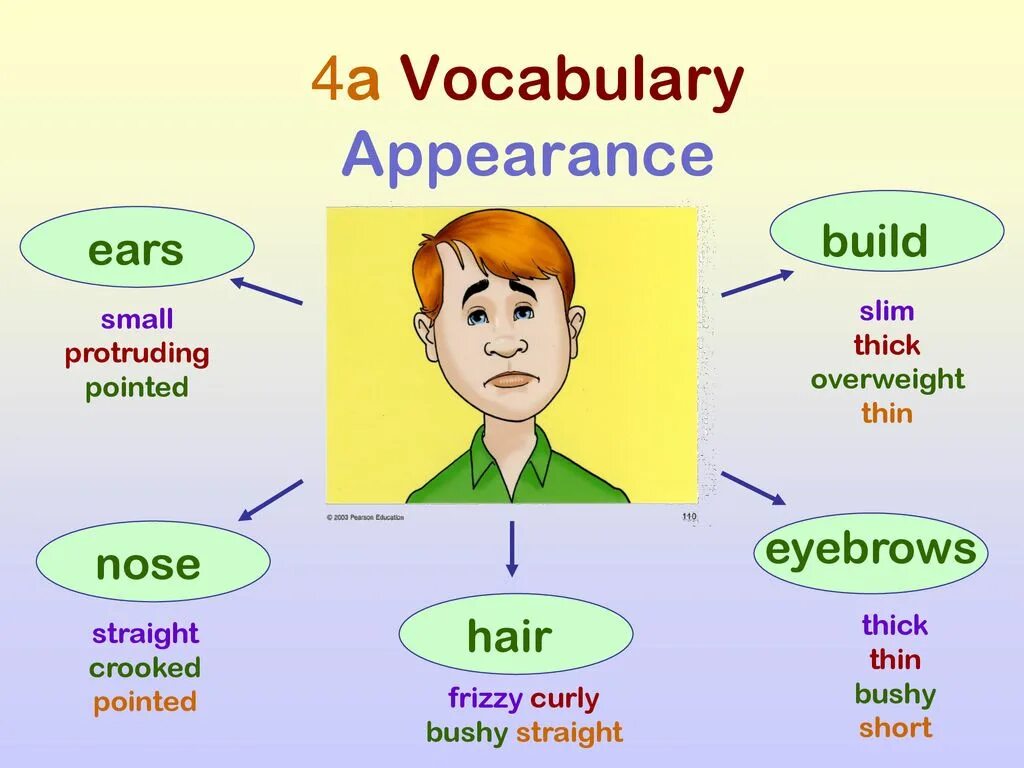 Who is who vocabulary. Внешность на английском языке. Лексика по теме внешность appearance. Внешность Vocabulary. Тема внешность на английском.