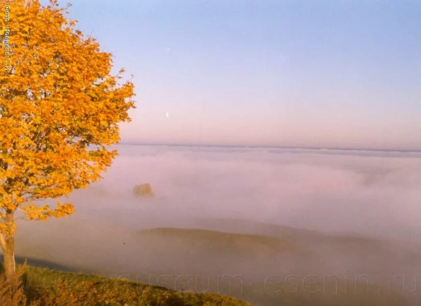 Тропы эпитет метафора. Метафоры на осеннюю тему. Эпитеты на тему осень. Эпитеты на осеннюю тему. Метафоры описывающие природу.