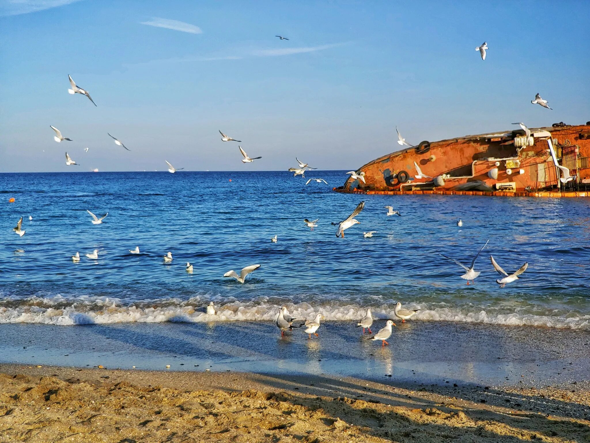 Одесское море. Украина черное море Одесса. Одесса море. Одесса море пляж.