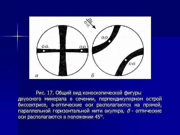 Перпендикулярный разрез. Перпендикулярный разрез