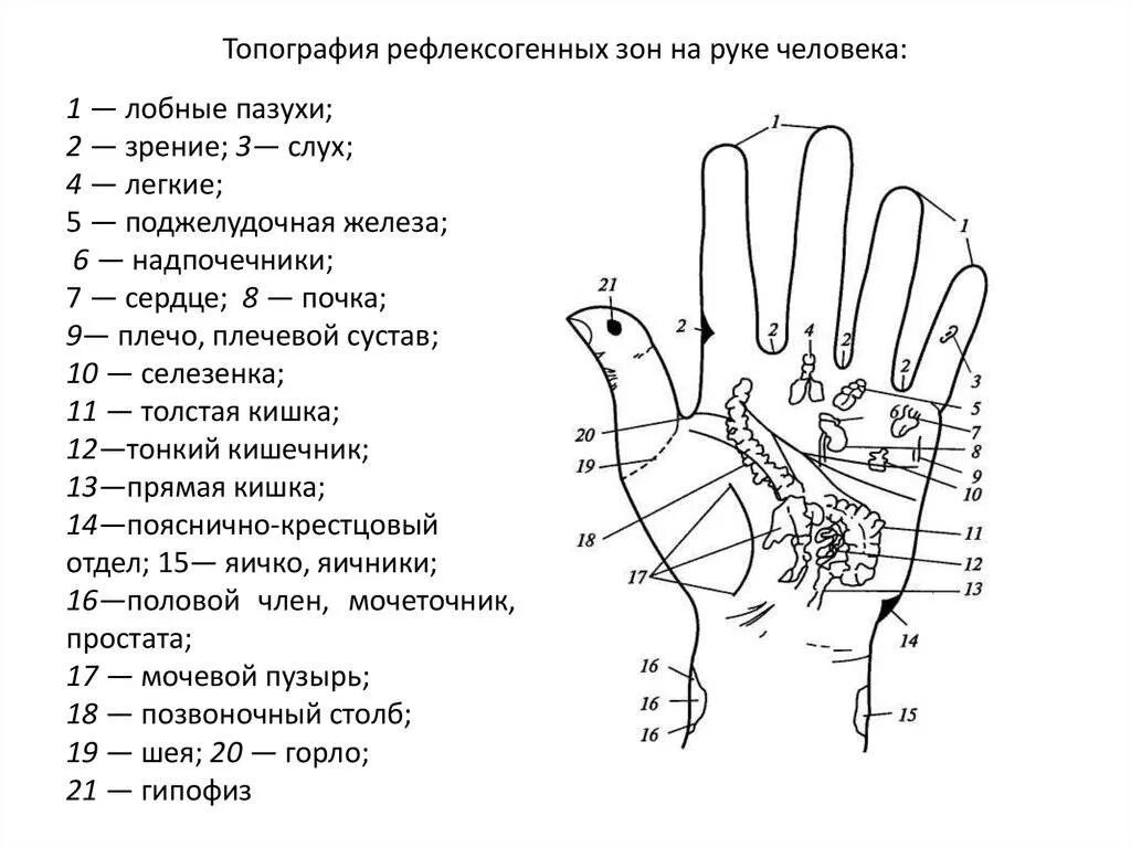 Какой палец после среднего