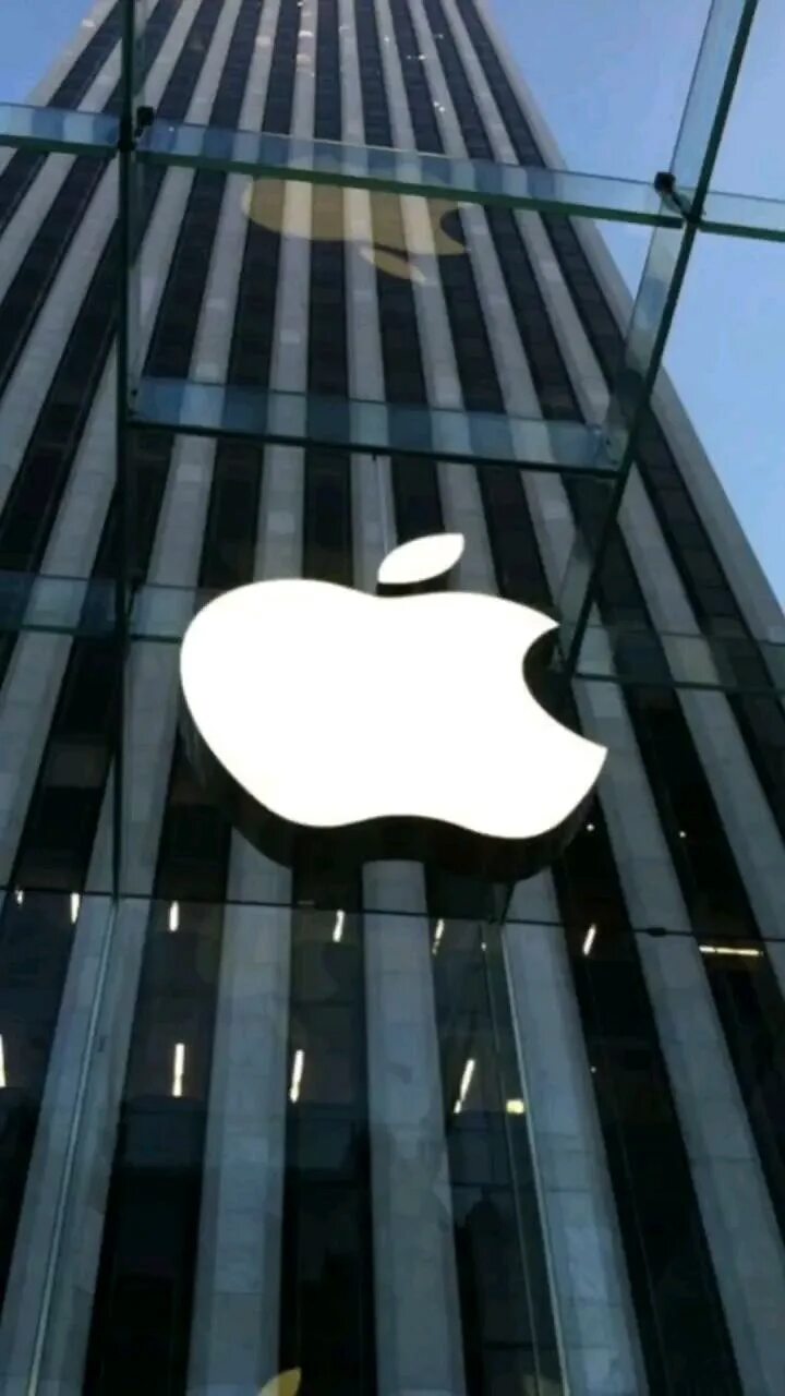 Apple sku. Майкрософт и эппл. Штаб квартира apple в купертино. Айфон 1688 что за модель. Apple sku.