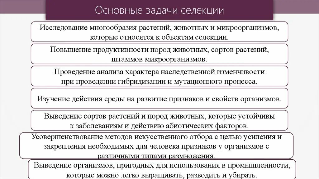 Выберите задачи селекции. Задачи селекции животных. Важнейшие задачи селекции. Селекция задачи селекции. Шесть основных задач селекции.