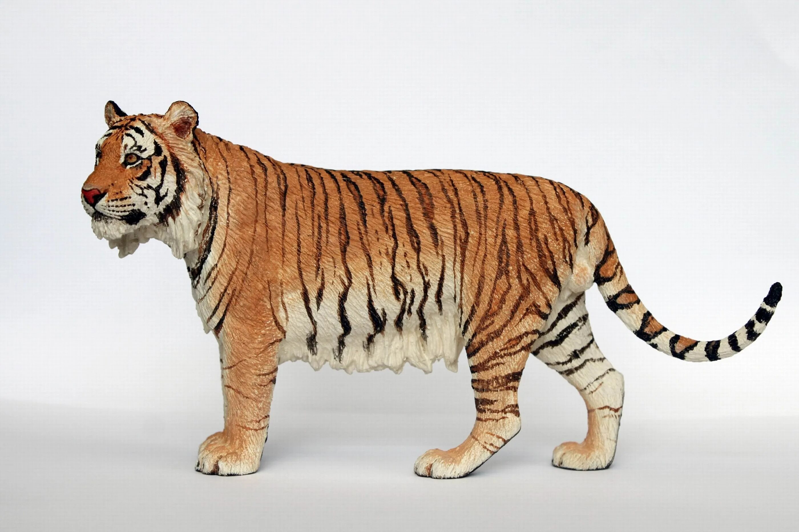 Туранский тигр. Туранский (Каспийский) тигр. Закавказский тигр. Туранский, или Закавказский тигр. Новые модели тигр