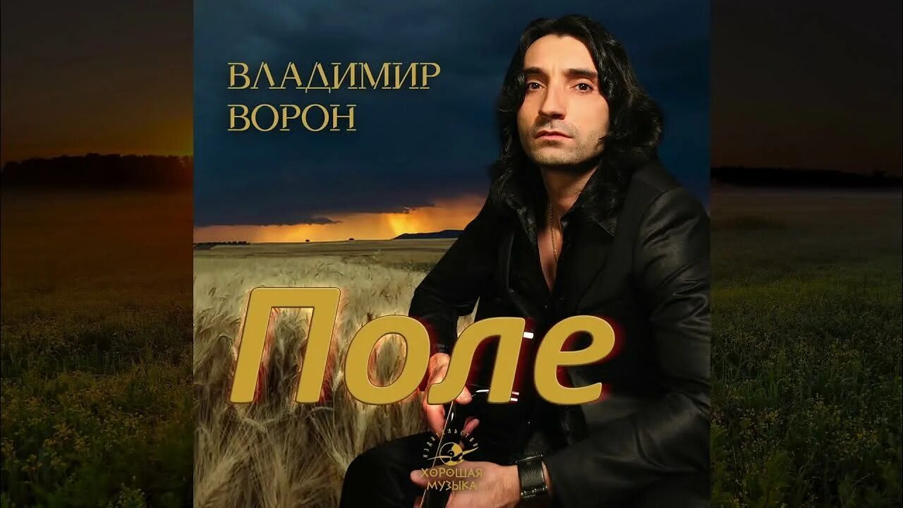 Песни исполнитель ворон. Одинокий певец. Песни исполнитель ворон. Вороны на поле. Группа voron.