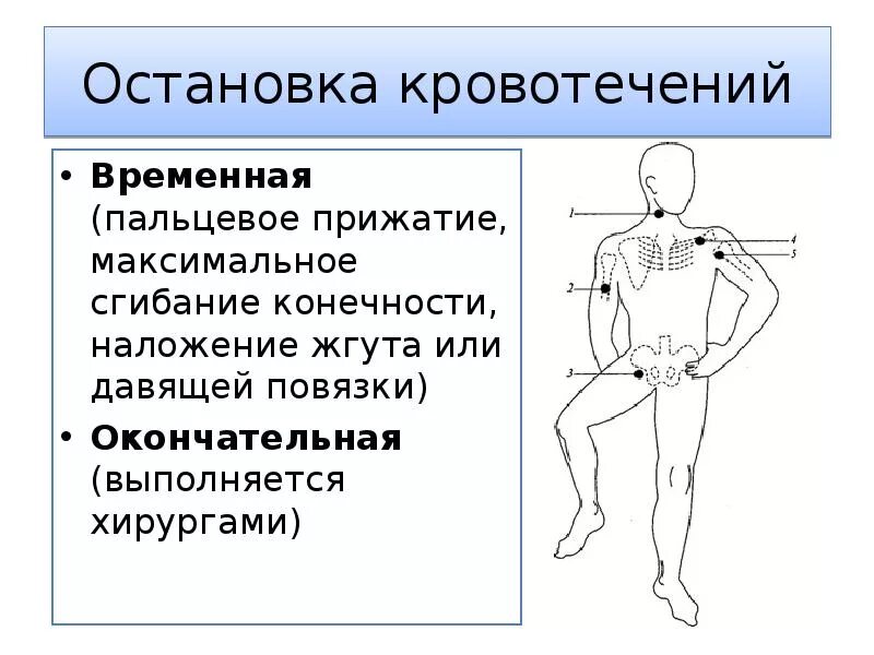 Способы остановки кровотечения пальцевое прижатие артерии. Остановка наружного кровотечения путем пальцевого прижатия сосуда. Временная остановка кровотечений, пальцевое прижатие артерий. Способы временной остановки кровотечения пальцевое прижатие. Точки прижатия артерий для остановки кровотечения.