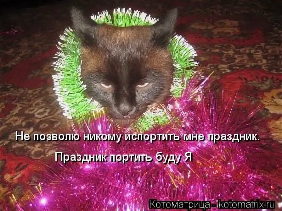 Портит бывший. Когда стыдно. Нам стыдно но зато весело. Портит бывший. Когда стыдно.