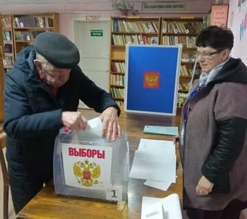 Организовано голосование