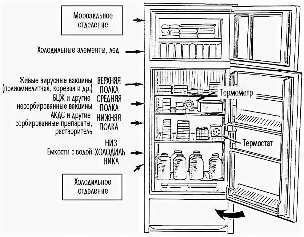 Сколько можно размещать на 2 стеллажах. Схема загрузки холодильника для вакцин. Холодильник для вакцины в прививочном каби. Размещение вакцин в холодильнике. Режим хранения вакцин.