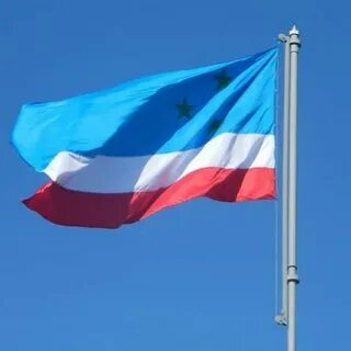 Гагаузия флаг