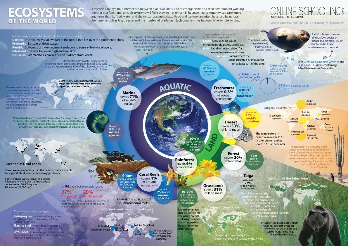 Ecosystems Flashcards Quizlet