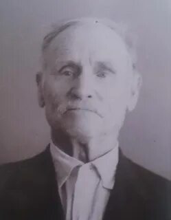 В м иванович