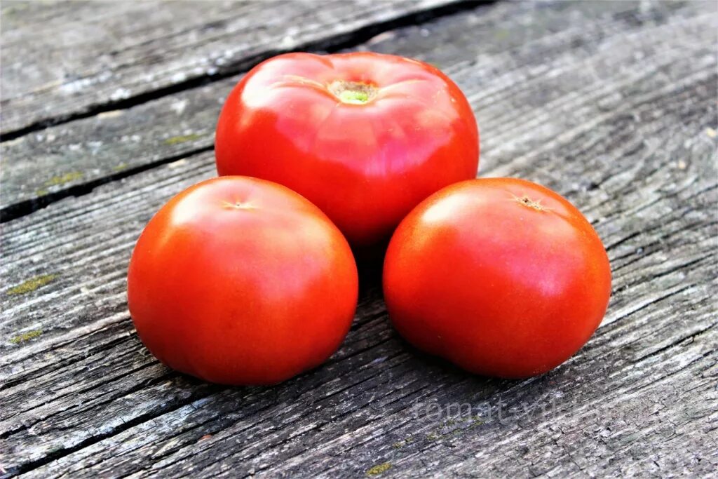Томат петух характеристика. Томат красный петух. Сорт томата красный петух. Томат красным красно f1. Семена томат красный петух.