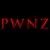 Pwnz что значит. Pwnz расшифровка. никита pwnz. pwnz логотип. pwnz город артем.