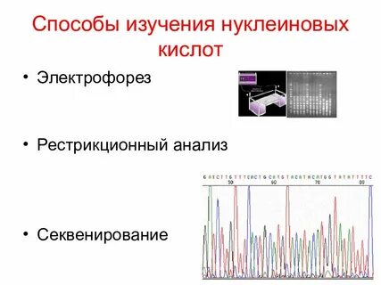 Анализ секвенирования