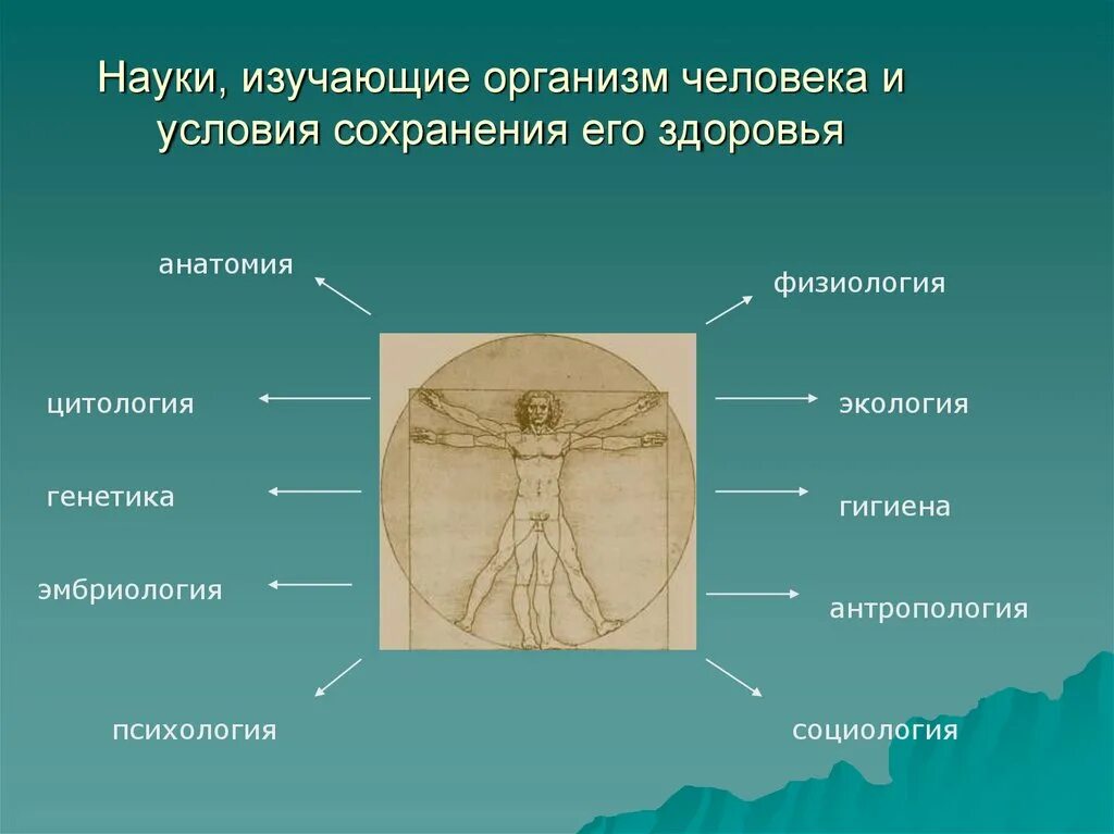 Наука изучающая органы человека. Науки изучающие организм человека таблица. Науки изучающие человека. Условия сохранения здоровья человека изучает наука.