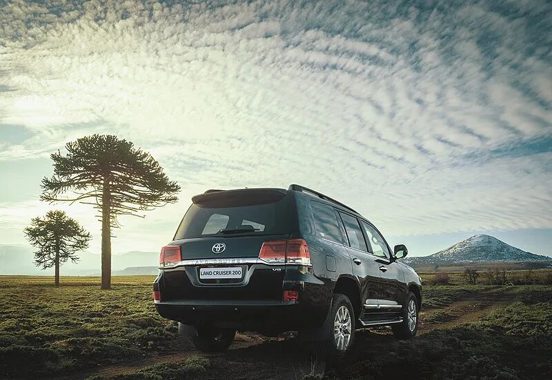Тест драйв крузер 200. Тойота land cruiser 200. land cruiser 200 новый сзади.