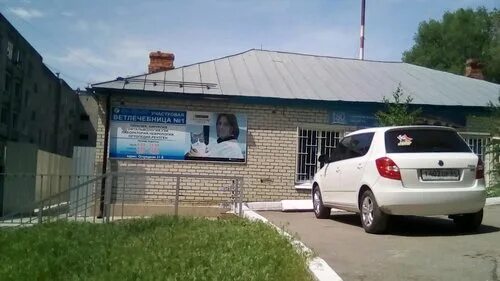 саратовская область сббж. саратов ветклиника заводской огородная. огу энгельсская сббж. огу энгельсская сббж. боханская сббж.