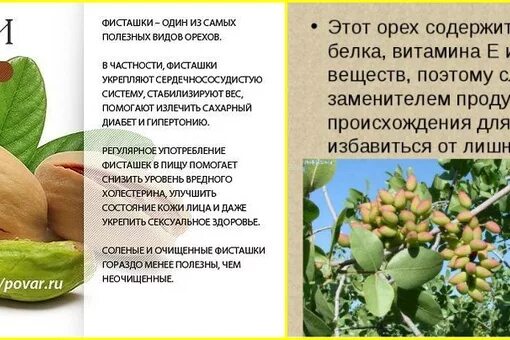 Фисташки польза для женщин после 50. Чем полезны фисташки. Что полезного в фисташках. Полезны ли фисташки. Орехи фисташки польза.