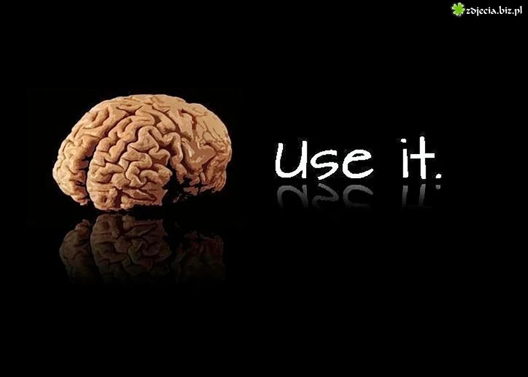 Brain 63. Мозг use it. Мозг заставка. Use it мозги. Use it картинка.