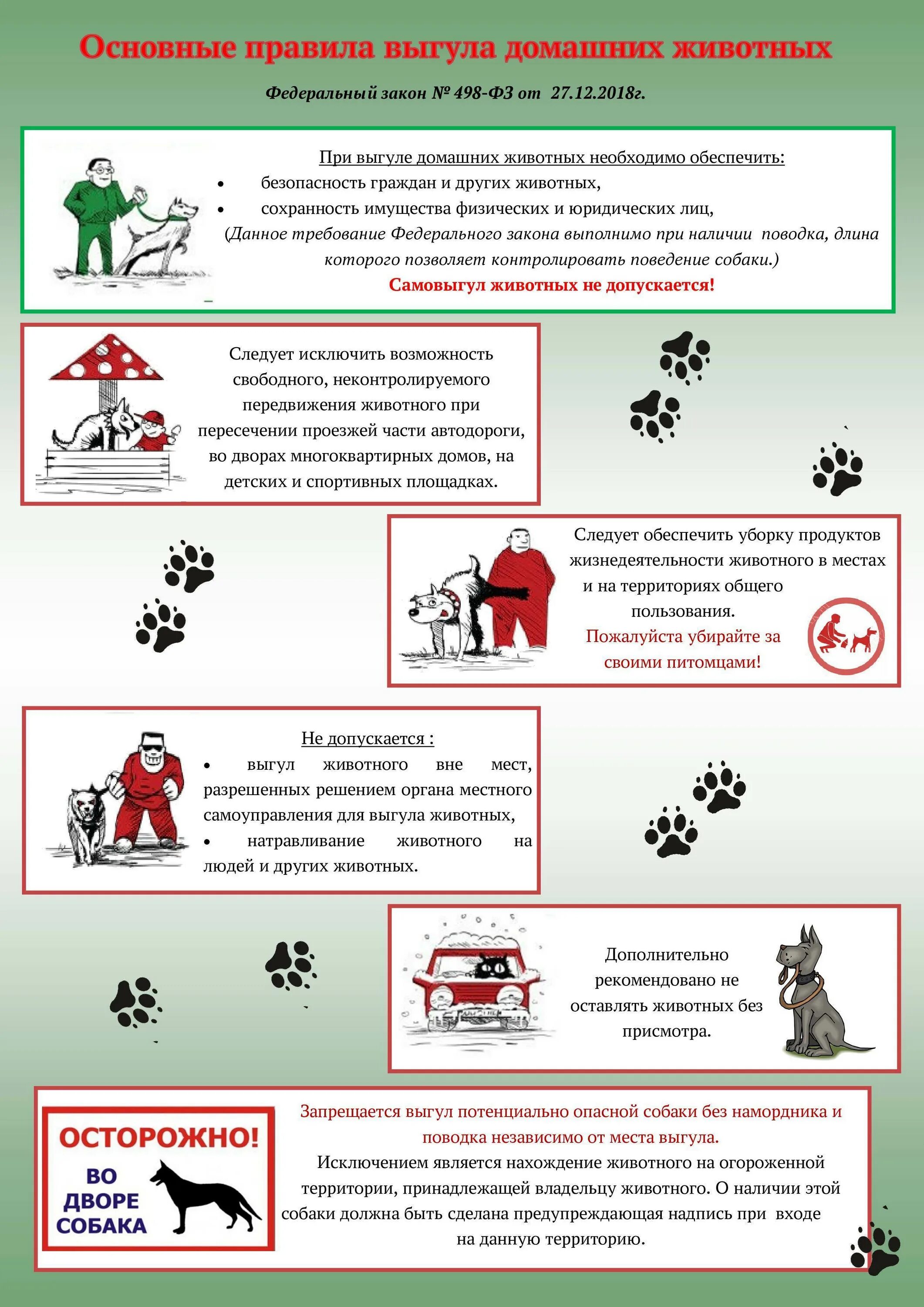 Выгул собак в общественных местах. Памятки по правилам содержания домашних животных. Правила содержания домашних животных. Памятки по правилам содержания и выгула домашних животных. Памятка правила содержания собак.