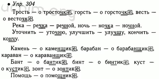 Ответы по русскому 5. Русский язык 5 класс ладыженская упражнение 304. Русский язык 5 класс упражнение 304 гдз. Русский язык 5 класс гдз номер 304. Гдз по русскому 5 класс номер 304.