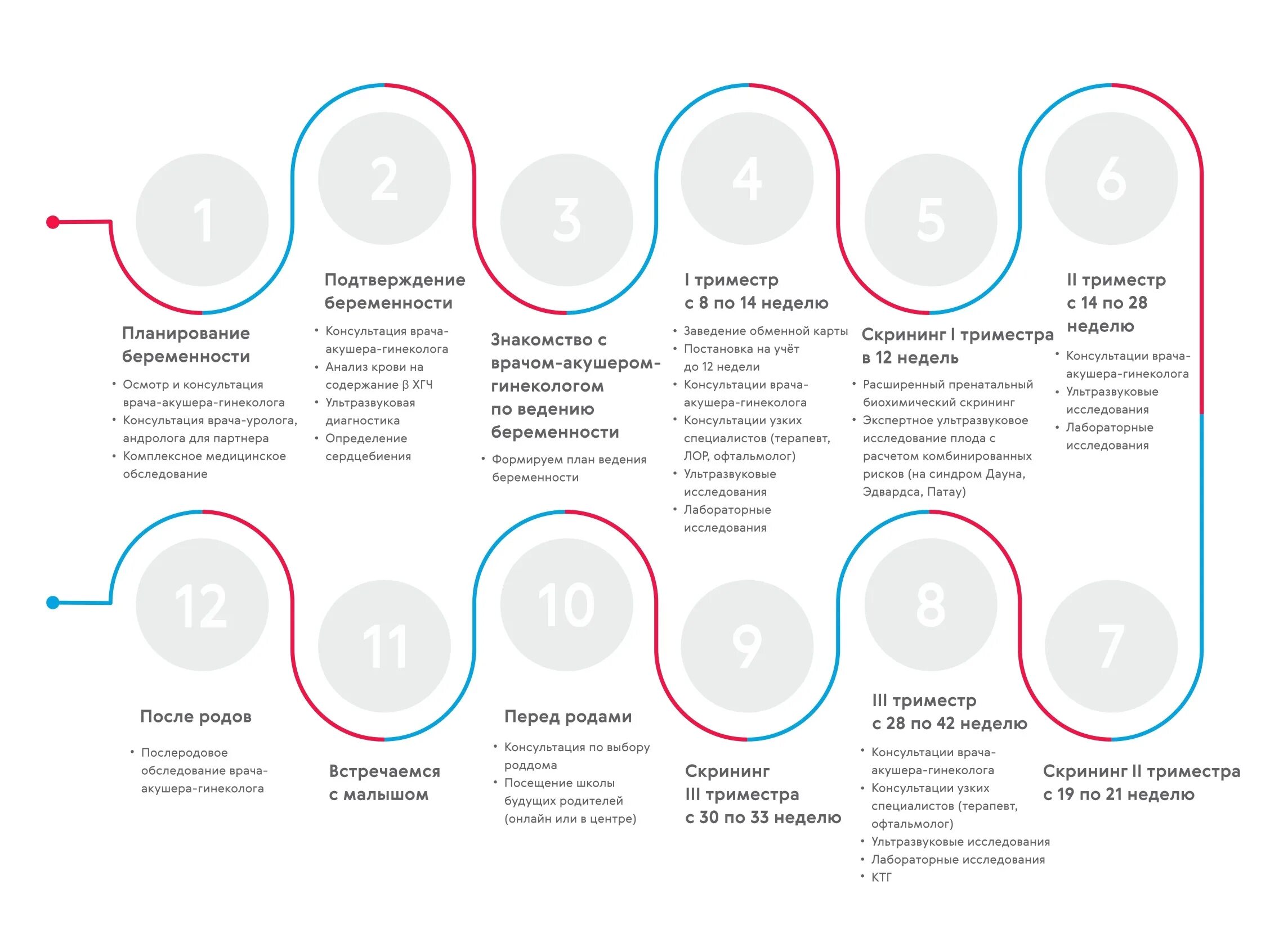 Врачи в первом триместре. План ведения беременности по неделям. План ведения беременности по триместрам. План ведения беременной в женской консультации. Ведение первого триместра беременности.