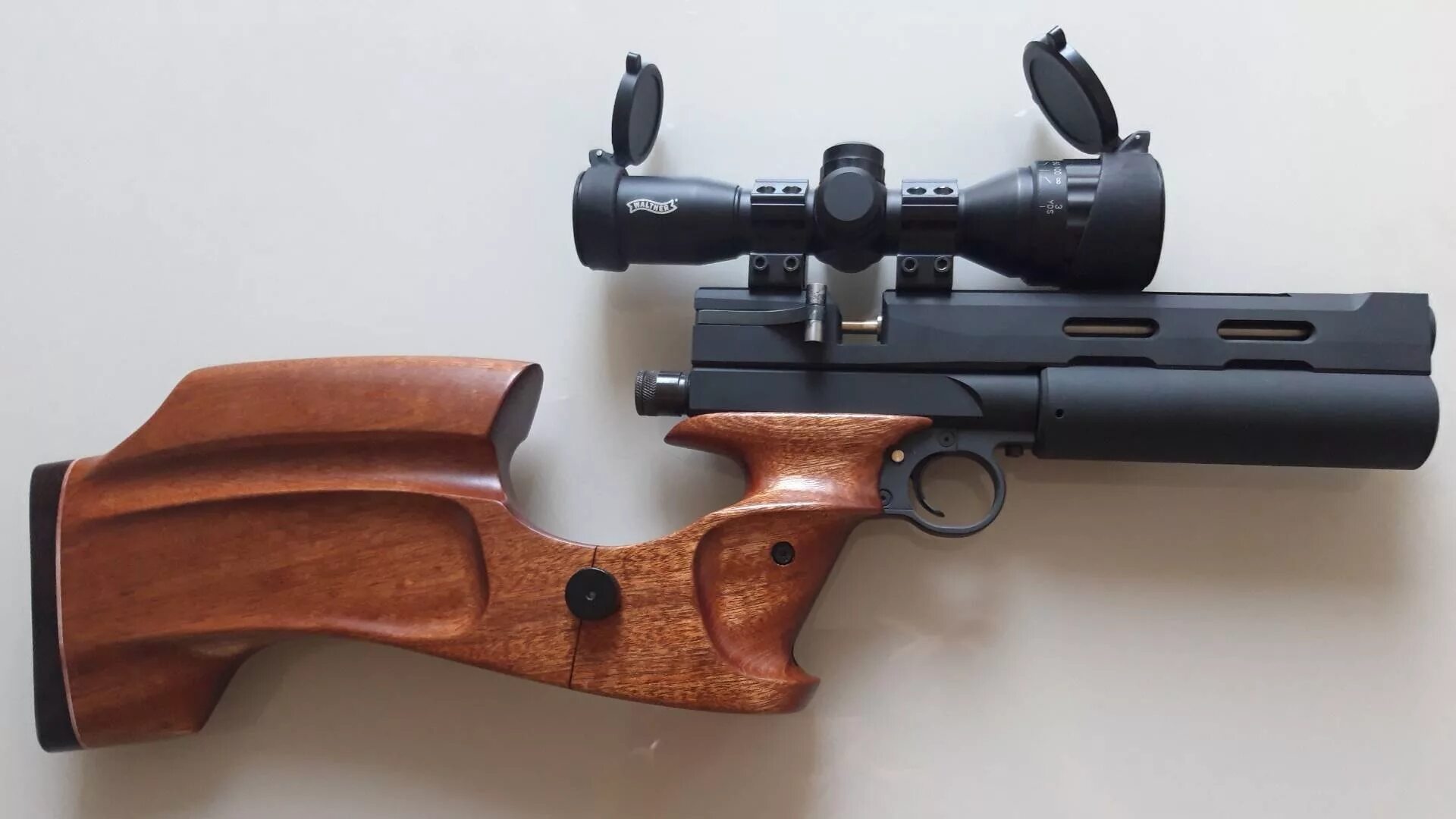 5. Доберман стандарт 5. Доберман компакт 5. Доберман 5 5. Доберман компакт pcp.