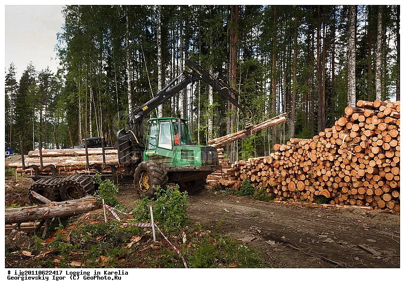 лесная промышленность республики карелия. лесопромышленный кластер коми. заготовка древесины. деревообрабатывающая промышленность карелия. деревообрабатывающая промышленность карелия.