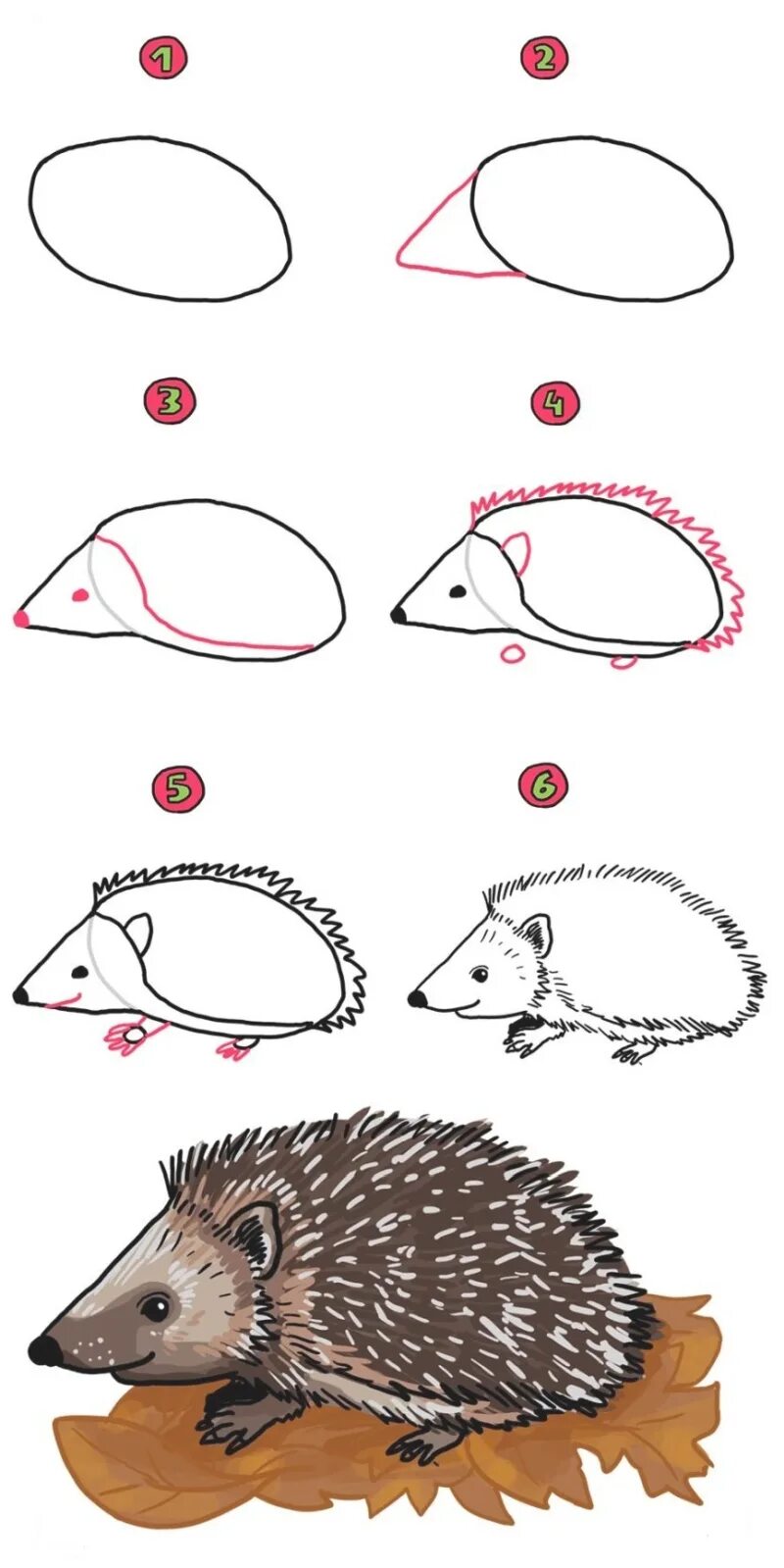 Нарисовать ежа поэтапно карандашом для детей. Ежик рисунок. Поэтапное рисование ежика. Поэтапное рисование ежа для детей. Ежи поэтапно