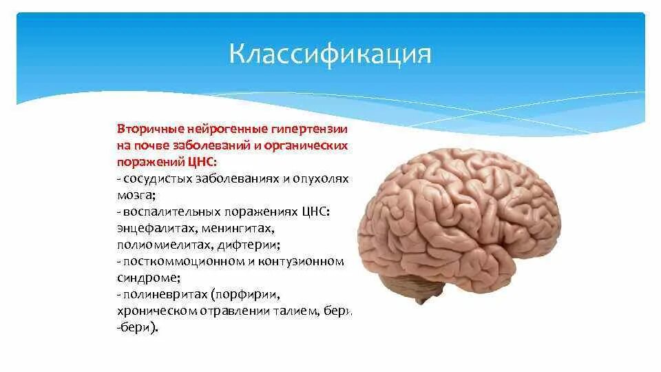 Органическое поражение ЦНС. Органическое поражение головного мозга. Органические поражения нервной системы. Нейрогенная гипертензия классификация. Последствия органического поражения