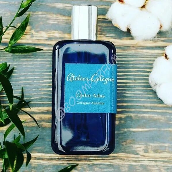Atlas cologne. Ателье колонь кедр атлас. духи atelier cologne cedre atlas. atelier cologne cedre atlas 100ml. ателье коло кедр аталч.