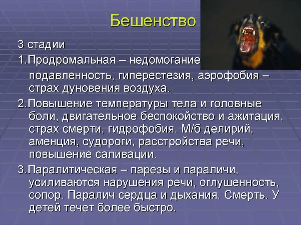 Клинические проявления бешенства. Стадии беланства. Бешенства этапы болезни. Осложнения бешенства