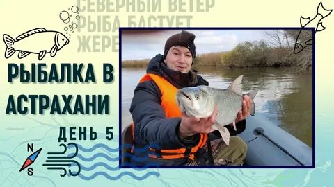 Рыбалка в астрахани на что ловить