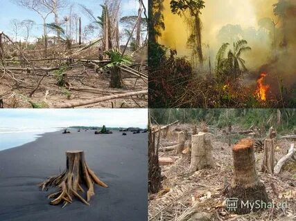 Environmental problems nowadays