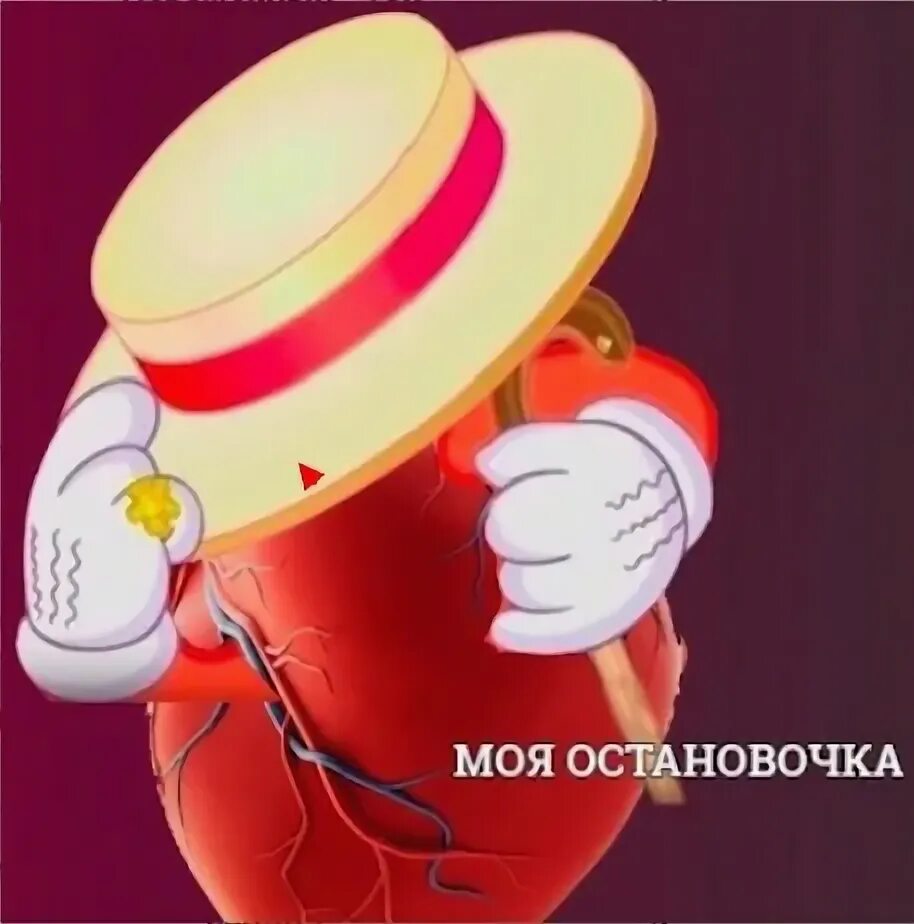 Твоя остановочка меню. Мемы моя остановочка. Моя остановочка мем. Твоя остановочка меню. Мем сердечко моя остановочка.