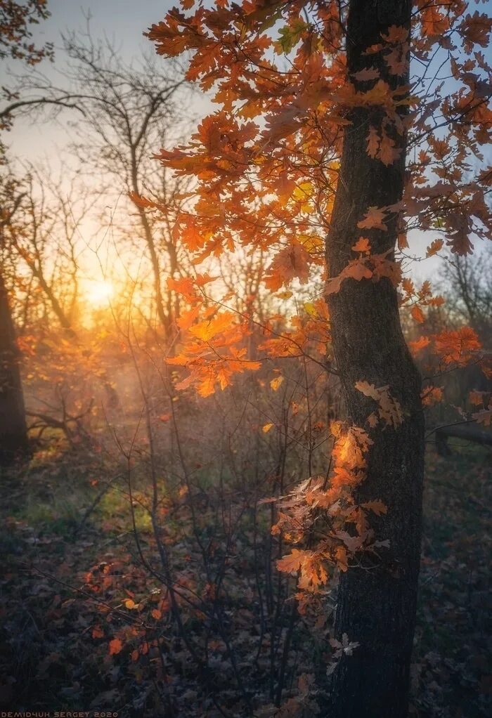 outdoormagic: " Autumn Chiltern view by algo on Flickr. " Autumn scenes, Fall im