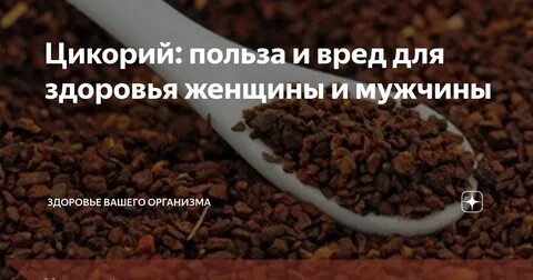 Вред цикория для организма здоровья человека