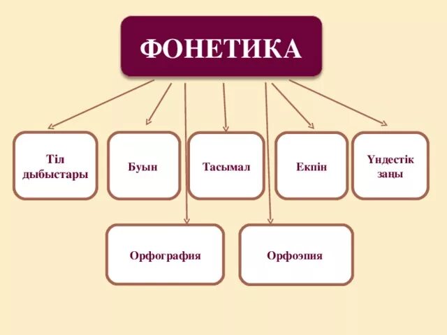 Лексика грамматикалық. Фонетика кесте. Фонетика дегеніміз не. Фонетика ереже. Фонетика нені зерттейді ереже.