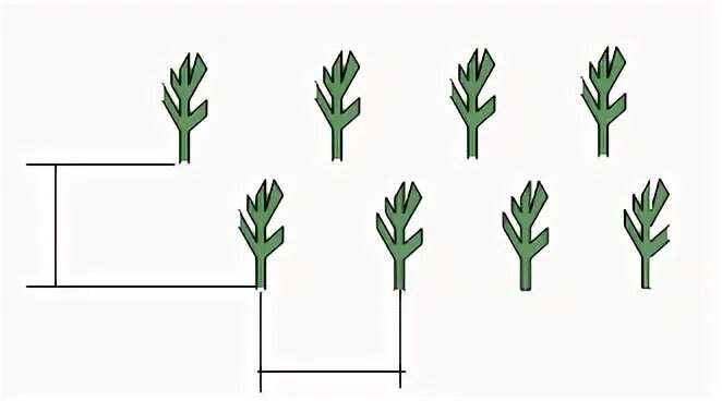 Crops 3